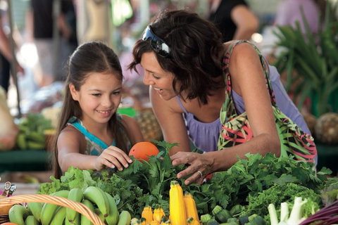 Sunshine Coast Eumundi Markets Return Minibus Transfer - Sunshine Coast Tourism 5