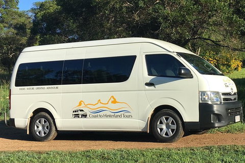 Sunshine Coast Eumundi Markets Return Minibus Transfer - Sunshine Coast Tourism 2