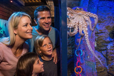 SEA LIFE Sunshine Coast Aquarium Entrance Ticket - Sunshine Coast Tourism 5
