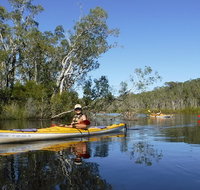 Self-Guided Noosa Everglades Kayak Tour - Sunshine Coast Tourism