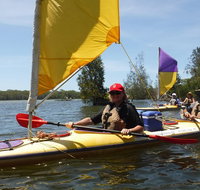 Full-Day Guided Noosa Everglades Kayak Tour - Sunshine Coast Tourism