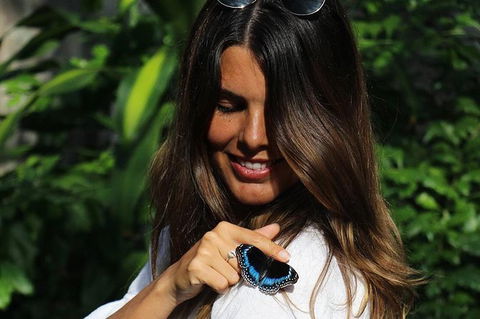 Australian Butterfly Sanctuary - Holiday Sunshine Coast 5