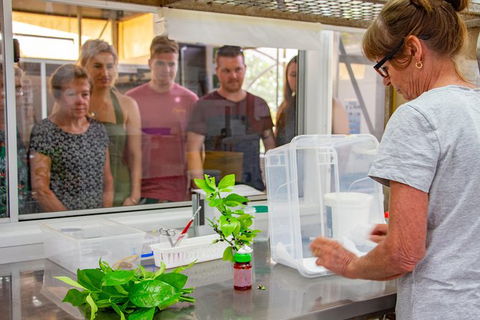 Australian Butterfly Sanctuary - Holiday Sunshine Coast 6