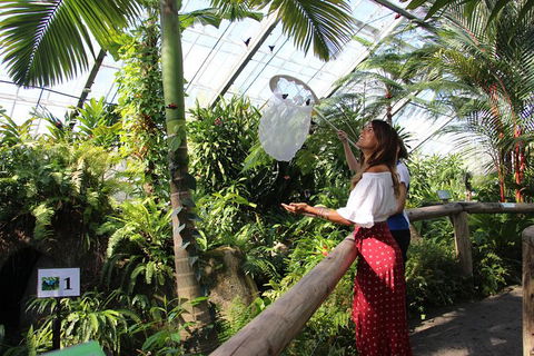 Australian Butterfly Sanctuary - Holiday Sunshine Coast 2
