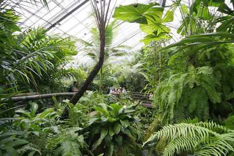 Australian Butterfly Sanctuary - Holiday Sunshine Coast 1