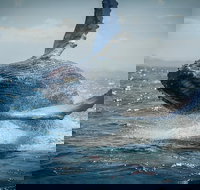 2-Hour Guided Whale Watching Tour at Noosa - Sunshine Coast Tourism