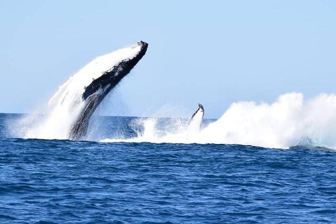 Noosa QLD Sunshine Coast Tourism