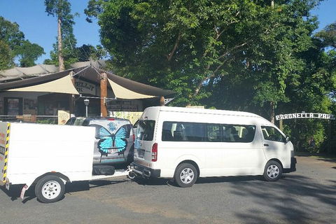 Airport Transfer To Or From Cairns Hotels For Up To 13 People (7am-10pm) - Sunshine Coast Tourism 3