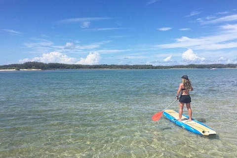 Early Morning Weekend Paddleboard Special - Sunshine Coast Tourism 4