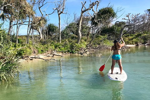 Early Morning Weekend Paddleboard Special - Sunshine Coast Tourism 5