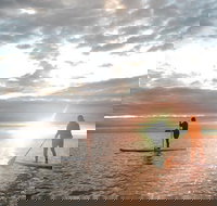 Sunrise Paddleboarding Group Lesson at Palm Cove Beach - Sunshine Coast Tourism