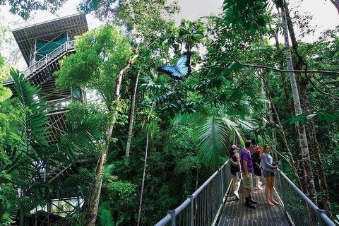 Daintree Discovery Centre Family Pass Ticket - Sunshine Coast Tourism 2
