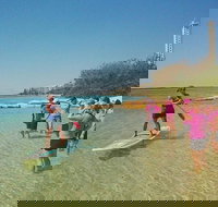 Golden Beach 1-Hour Stand-Up Paddleboard Hire on the Sunshine Coast - Sunshine Coast Tourism