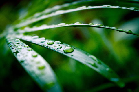 Local Photo Shoot - Sunshine Coast Tourism 3