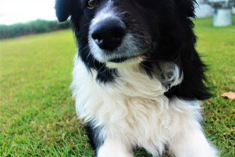 Local Photo Shoot - Sunshine Coast Tourism 0