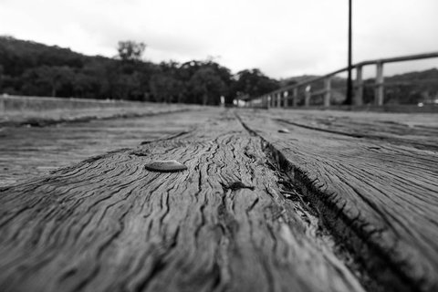 Local Photo Shoot - Sunshine Coast Tourism 2