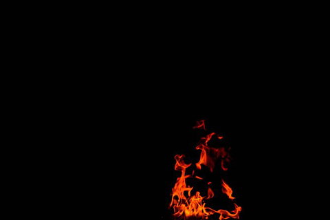 Local Photo Shoot - Sunshine Coast Tourism 4