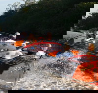 Noosa River Cruise for 3 to 4 people on a Classic Mahogany Speed Boat - 90 min. - Sunshine Coast Tourism