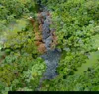 Full-Day Guided Hinterland Adventure Tour in Queensland - Sunshine Coast Tourism