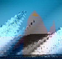 Whale Watching Cruise from Mooloolaba - Sunshine Coast Tourism