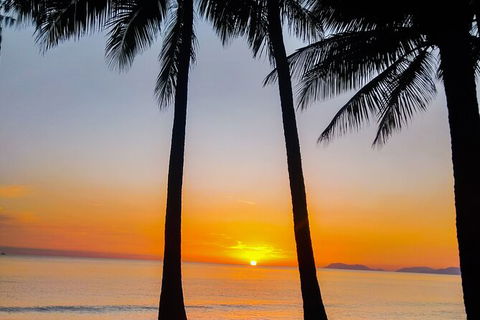 Airport Transfers Between Cairns Airport And Palm Cove - Sunshine Coast Tourism 4