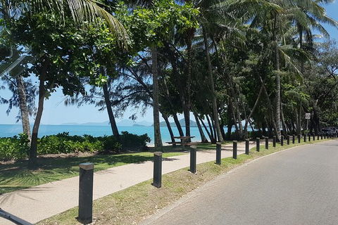 Airport Transfers Between Cairns Airport And Palm Cove - Sunshine Coast Tourism 6