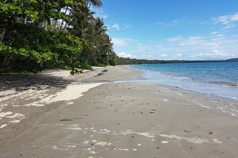 Airport Transfers Between Cairns Airport And Palm Cove - Sunshine Coast Tourism 2