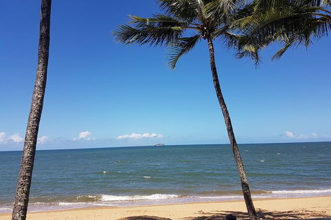 Airport Transfers Between Cairns Airport And Palm Cove - Sunshine Coast Tourism 8