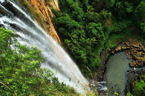Natural Arch, Rainforest & Volcano Canyon - Private Half Day Tour - Sunshine Coast Tourism 2