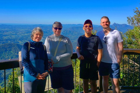 Natural Arch, Rainforest & Volcano Canyon - Private Half Day Tour - Sunshine Coast Tourism 3