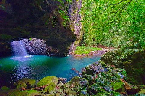 Natural Arch, Rainforest & Volcano Canyon - Private Half Day Tour - Sunshine Coast Tourism 5
