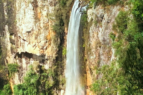 Natural Arch, Rainforest & Volcano Canyon - Private Half Day Tour - Sunshine Coast Tourism 1