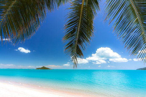 Reef, Wildlife & Rainforest - Reef & Beyond Guided Holidays - Holiday Sunshine Coast 4