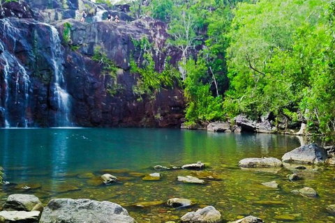 Reef, Wildlife & Rainforest - Reef & Beyond Guided Holidays - Holiday Sunshine Coast 0