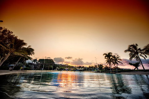 Reef, Wildlife & Rainforest - Reef & Beyond Guided Holidays - Holiday Sunshine Coast 6