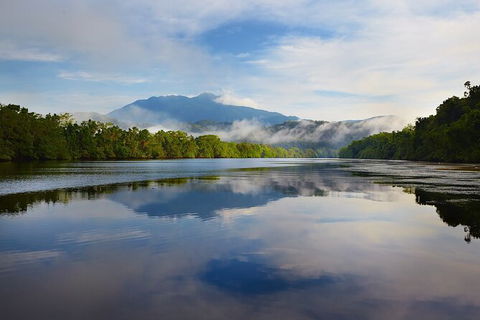 Daintree River Sunset Cruise - Sunshine Coast Tourism 1