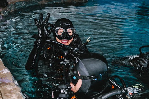 Cairns Aquarium Dive With The Sharks - Sunshine Coast Tourism 1