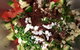 Cooking Classes In Caloundra - thumb 4