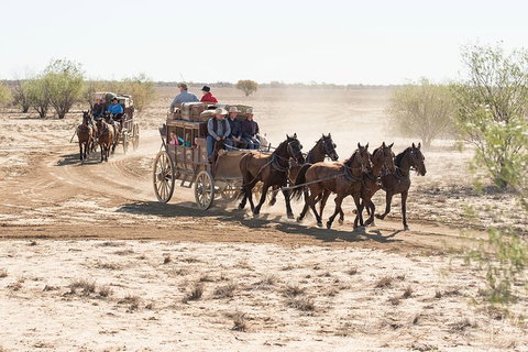 Cobb And Co Stagecoach Experience - Sunshine Coast Tourism 4