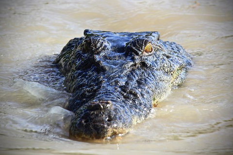 1 Day Rockhampton Highlights Private Tour With Pickup - Sunshine Coast Tourism 0