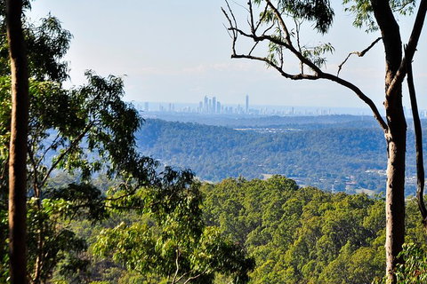 Tamborine Mountain & Gold Coast Tour - Sunshine Coast Tourism 3