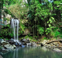 Tamborine Mountain  Gold Coast Tour - Sunshine Coast Tourism