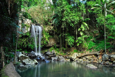 Tamborine Mountain & Gold Coast Tour - Sunshine Coast Tourism 0