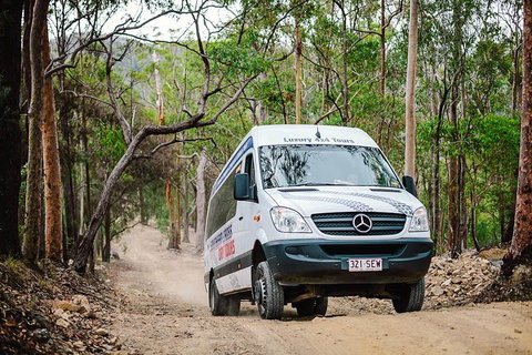 Tamborine Mountain & Gold Coast Tour - Sunshine Coast Tourism 4