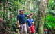 Tamborine Mountain & Gold Coast Tour - thumb 1
