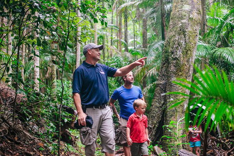 Tamborine Mountain & Gold Coast Tour - Sunshine Coast Tourism 1
