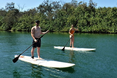 Paddle Board Hire In Surfers Paradise - Sunshine Coast Tourism 2