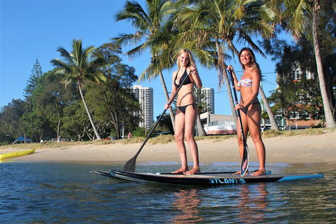 Paddle Board Hire In Surfers Paradise - Sunshine Coast Tourism 1