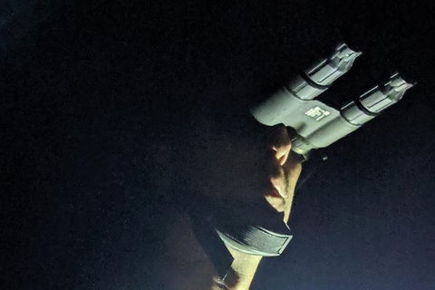 Nature By Night - Sunshine Coast Tourism 3