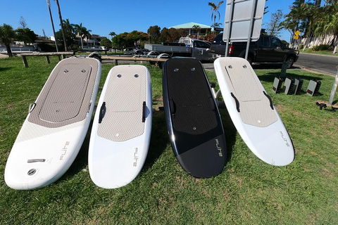 Gold Coast Hydrofoil Tours - Sunshine Coast Tourism 15